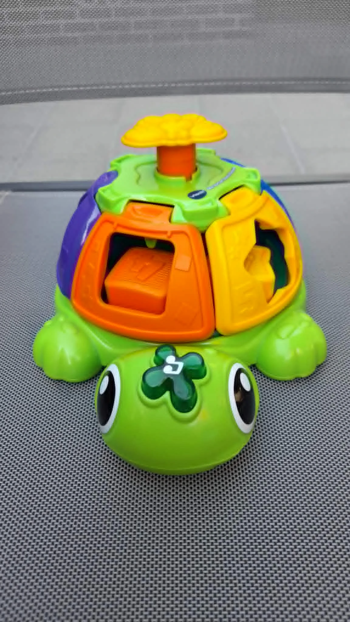 Ma tortue tourni-formes